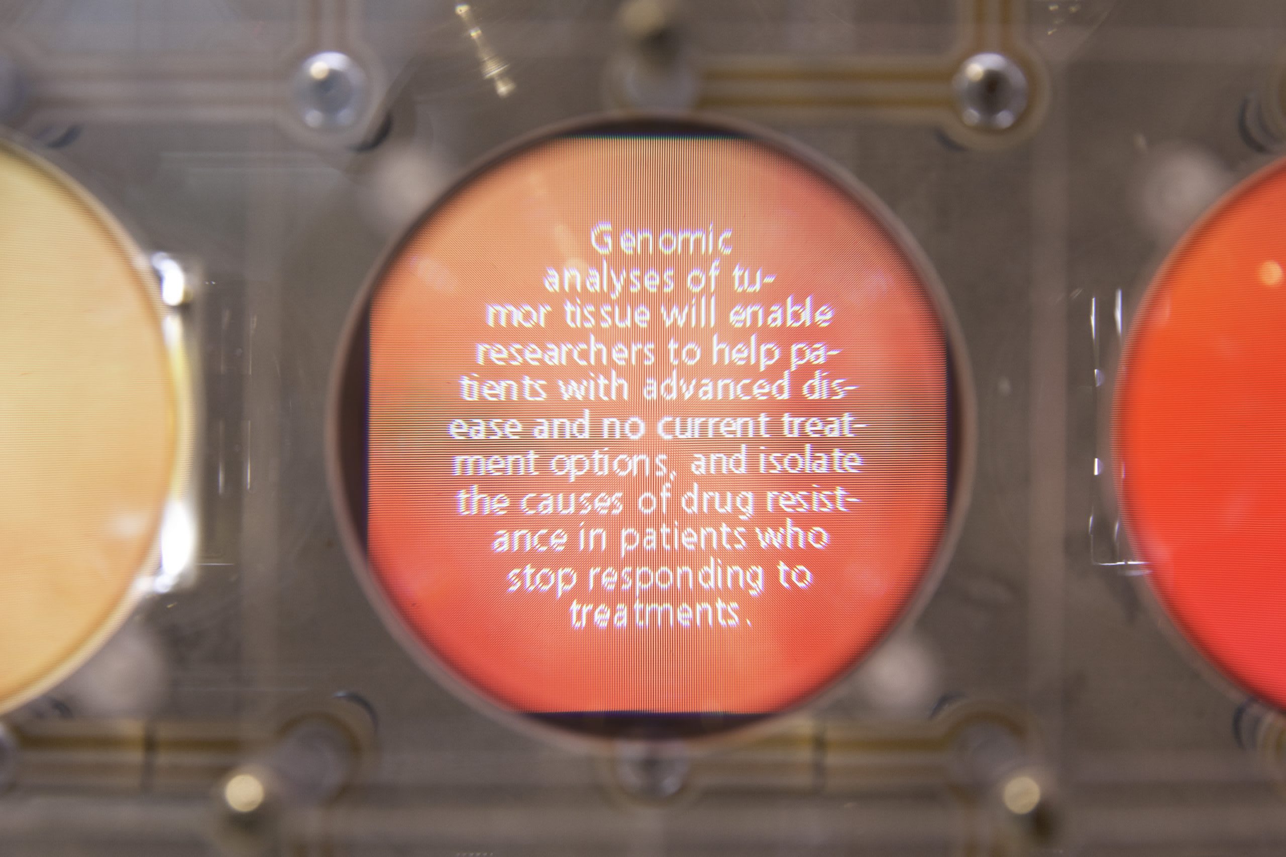 WCMC Discovery Wall