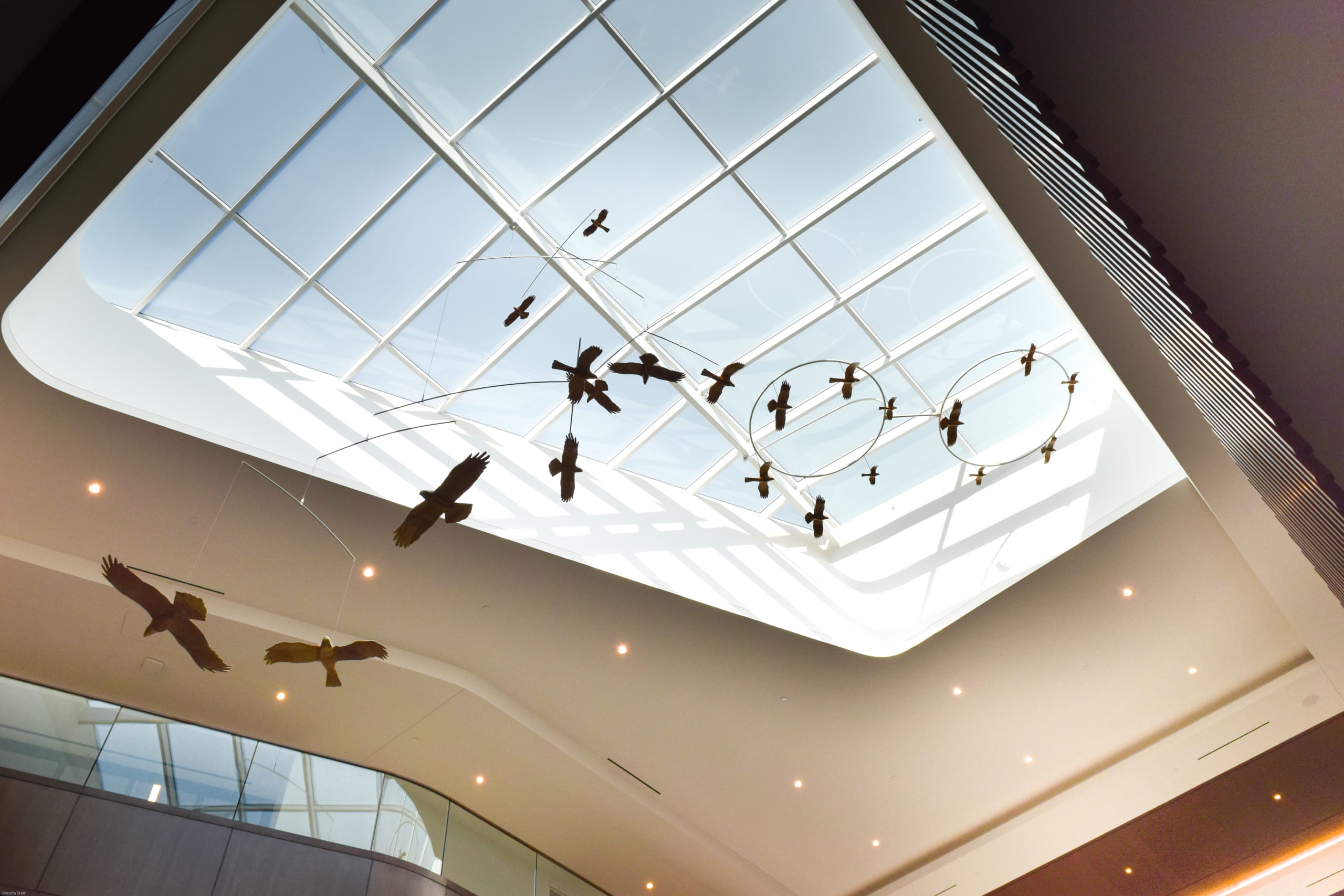 Soaring Together