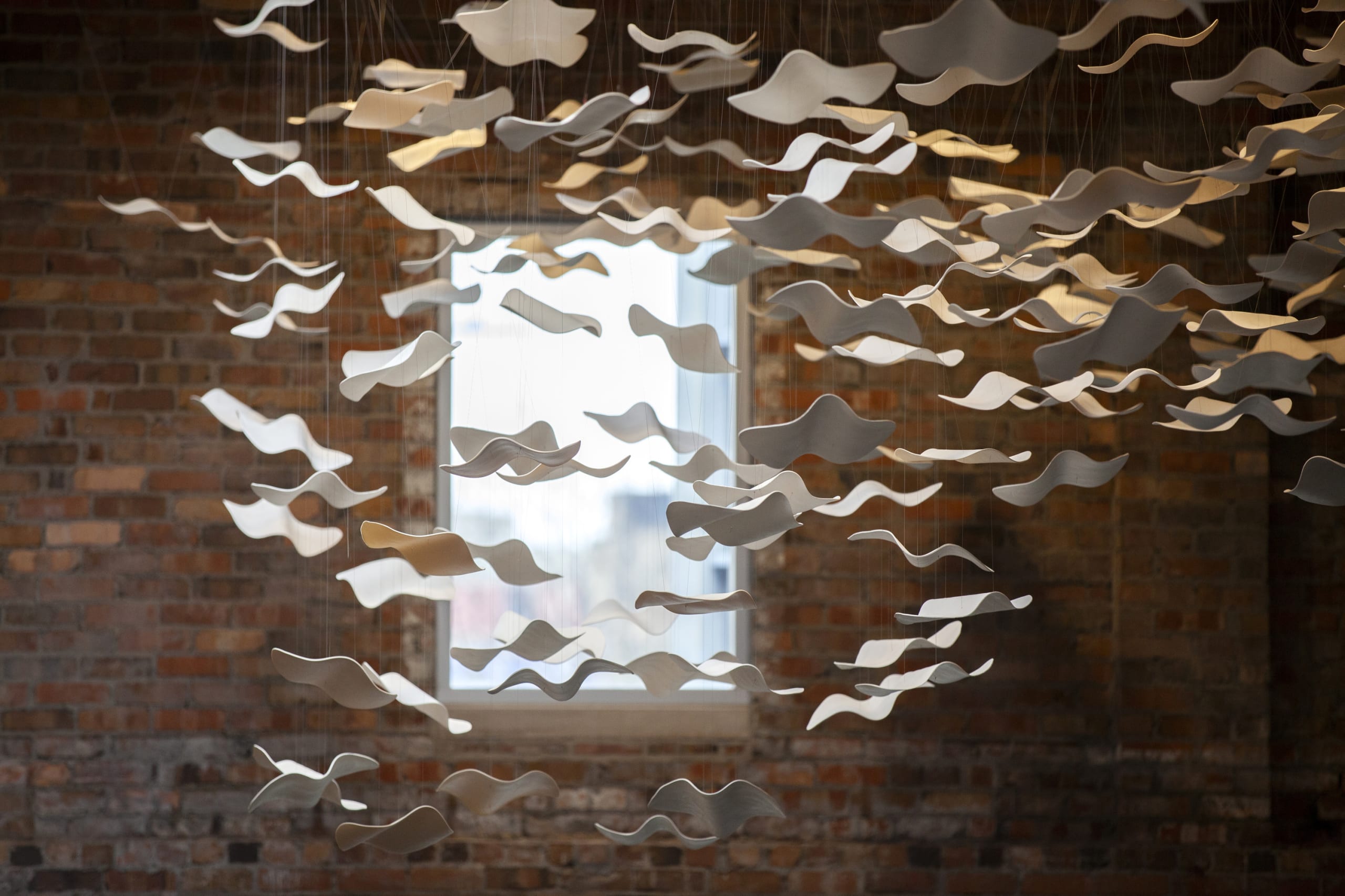 Murmuration