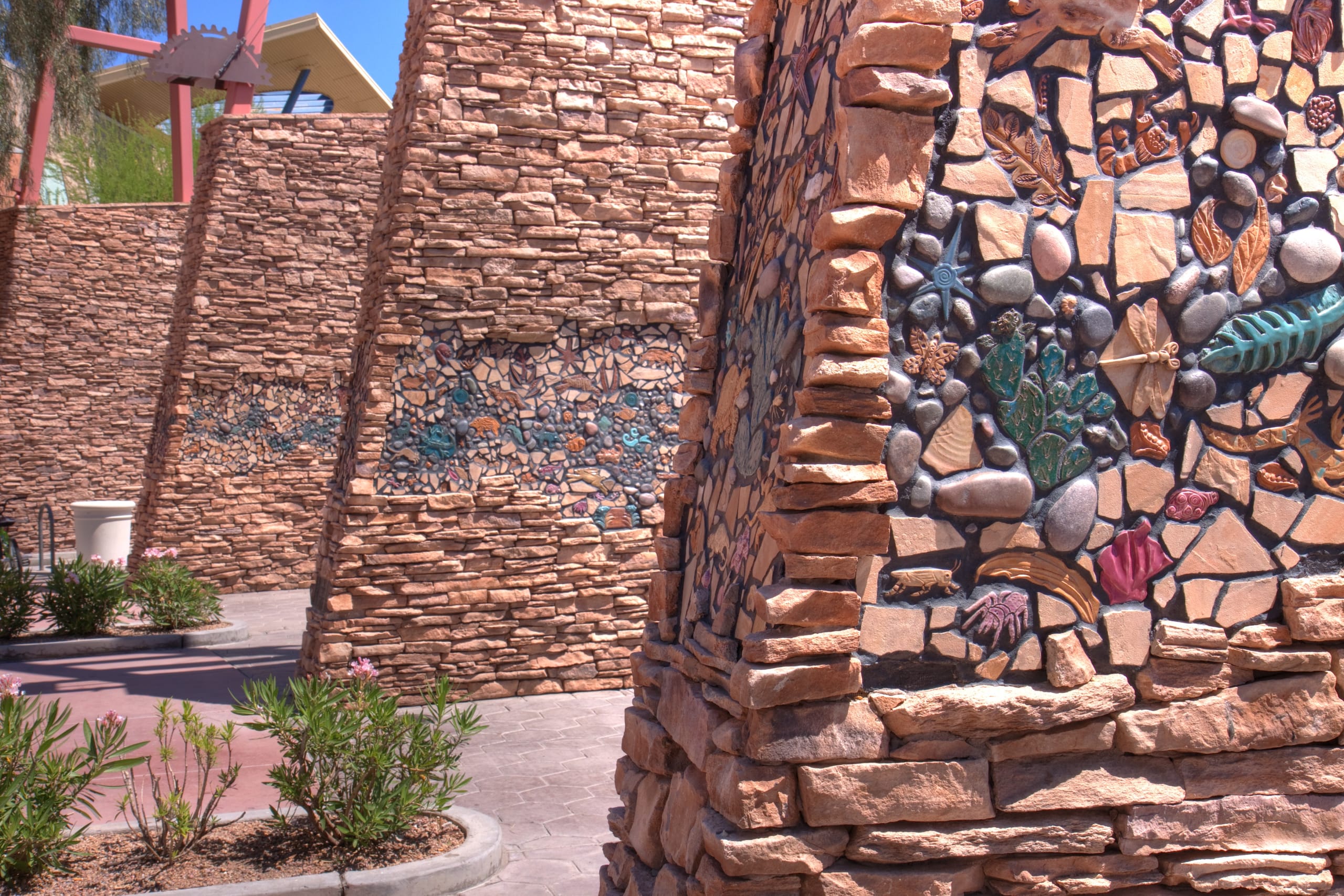 Flora and Fauna of Arizona