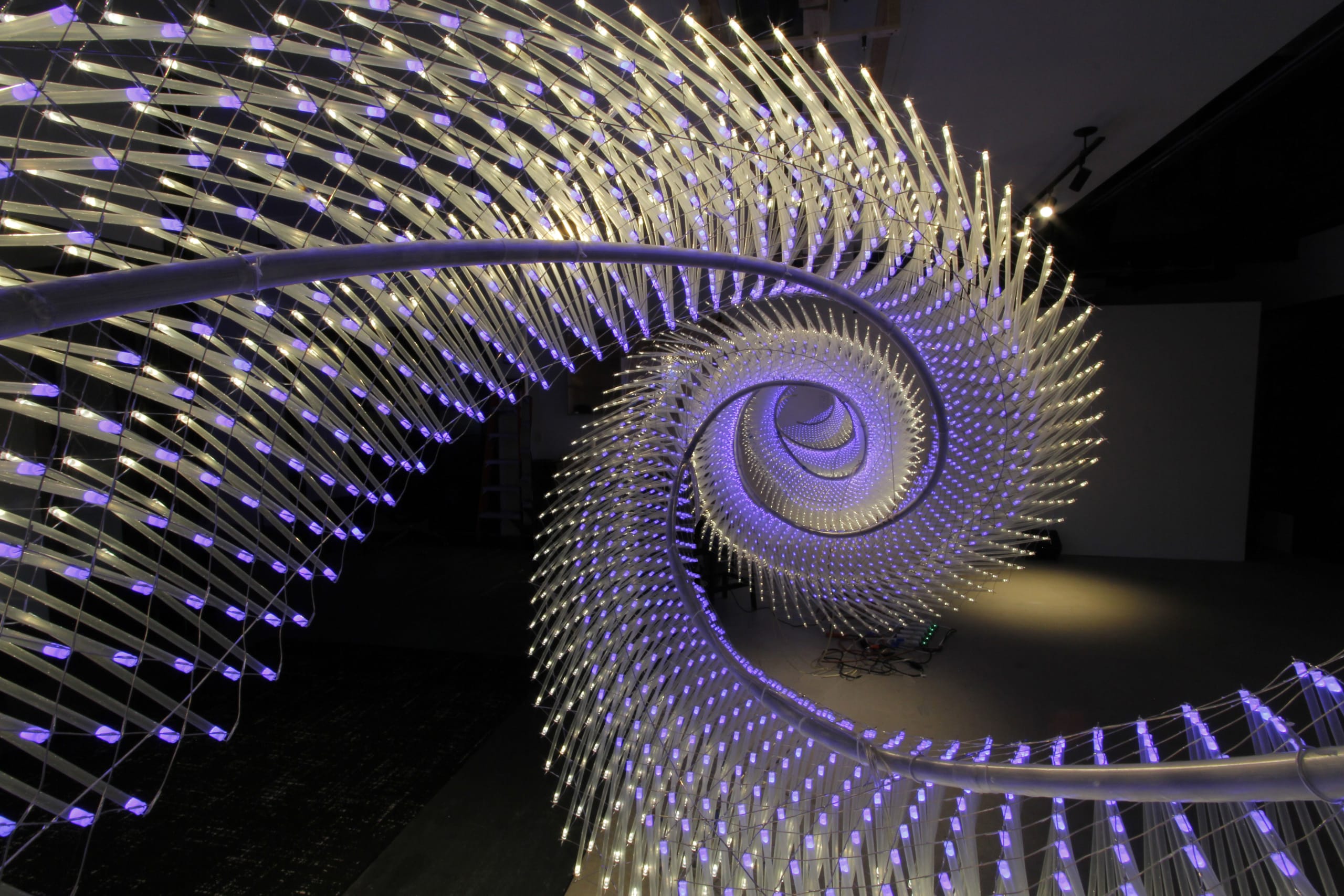 Capillary Helix