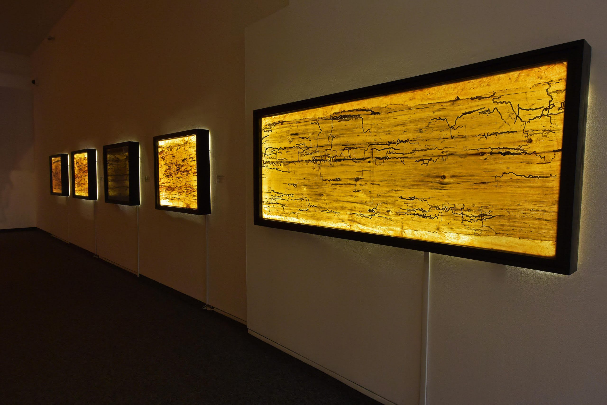 Earth Etchings Tom Thomson Museum show, Ontario 2019