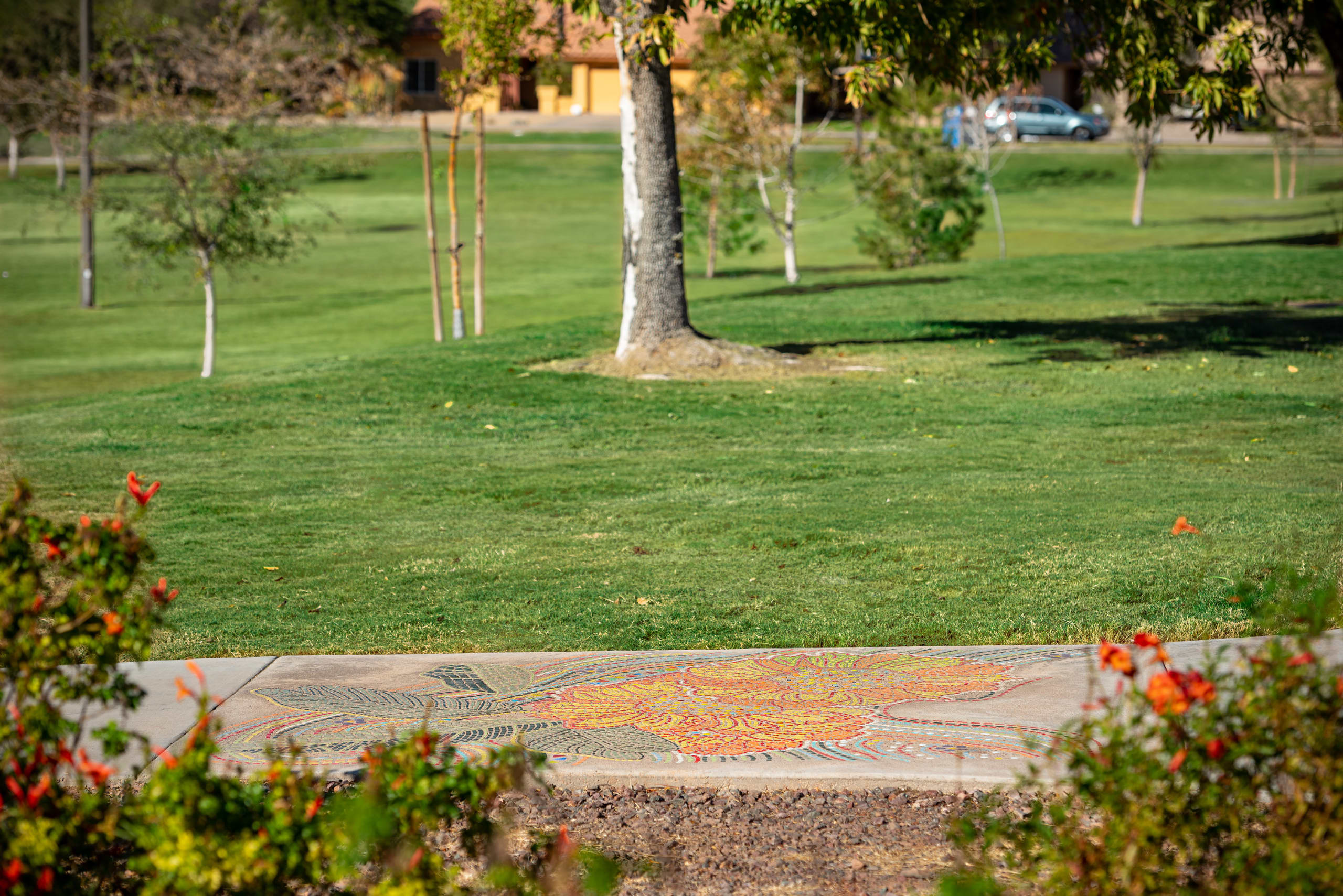 Walk in the Park