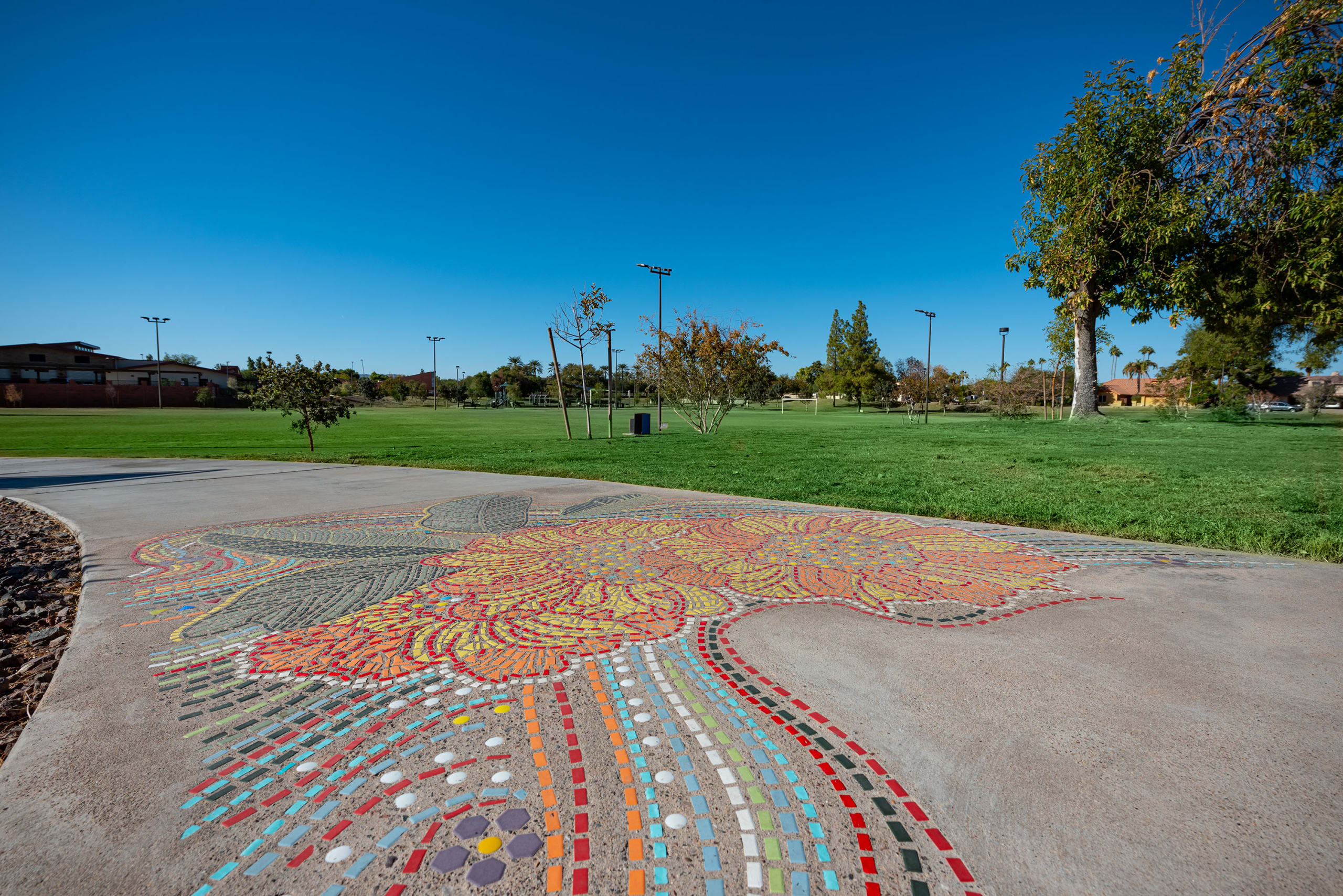 Walk in the Park