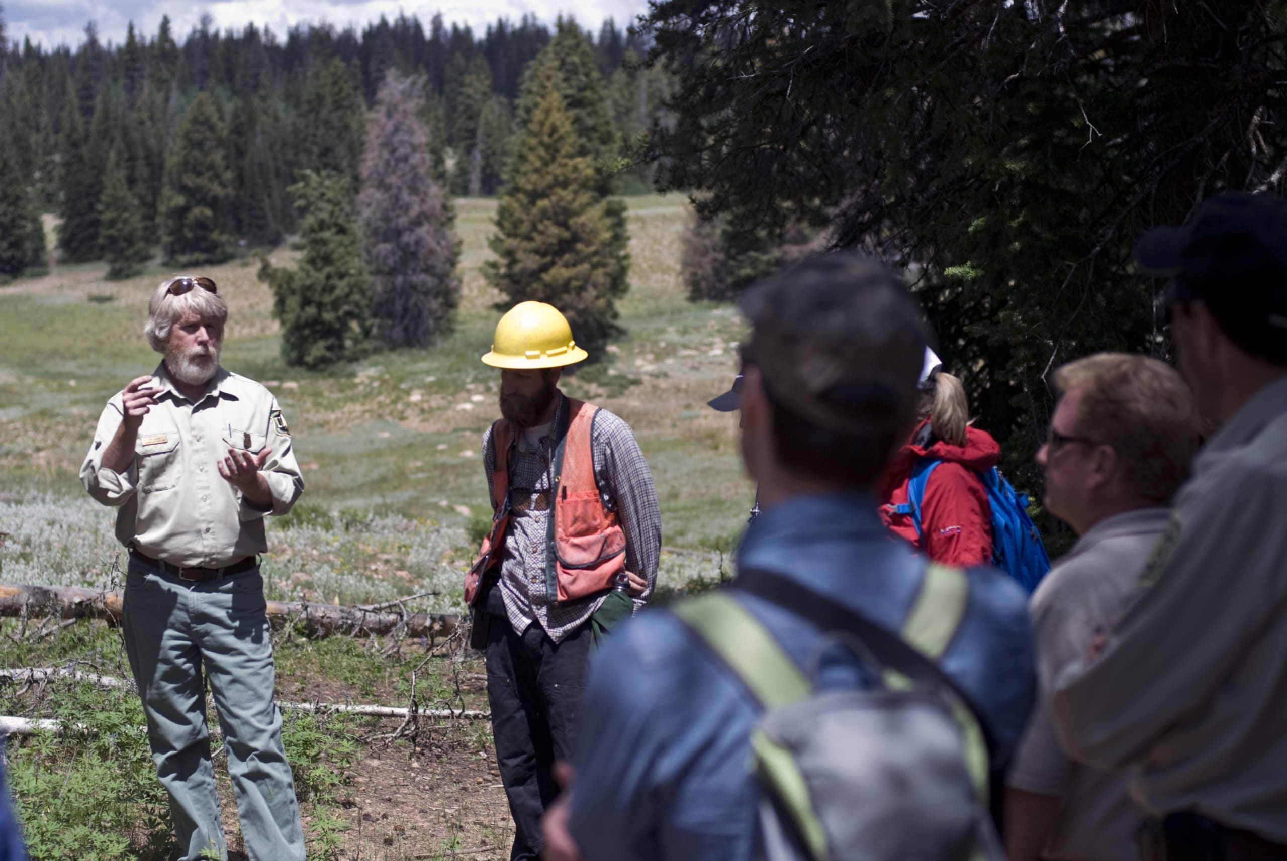 Beetle Kill & Aspen Die Off
