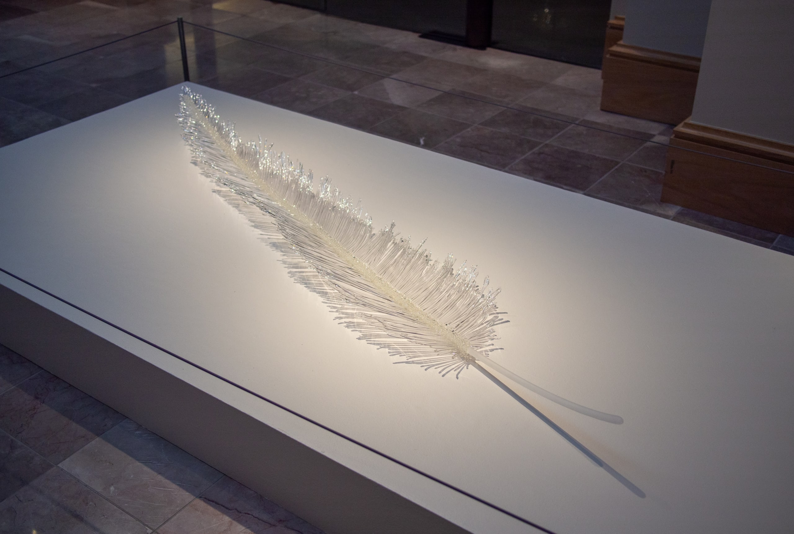 Signs of Lift Solo Exhibition Montgomery Museum of Fine Art