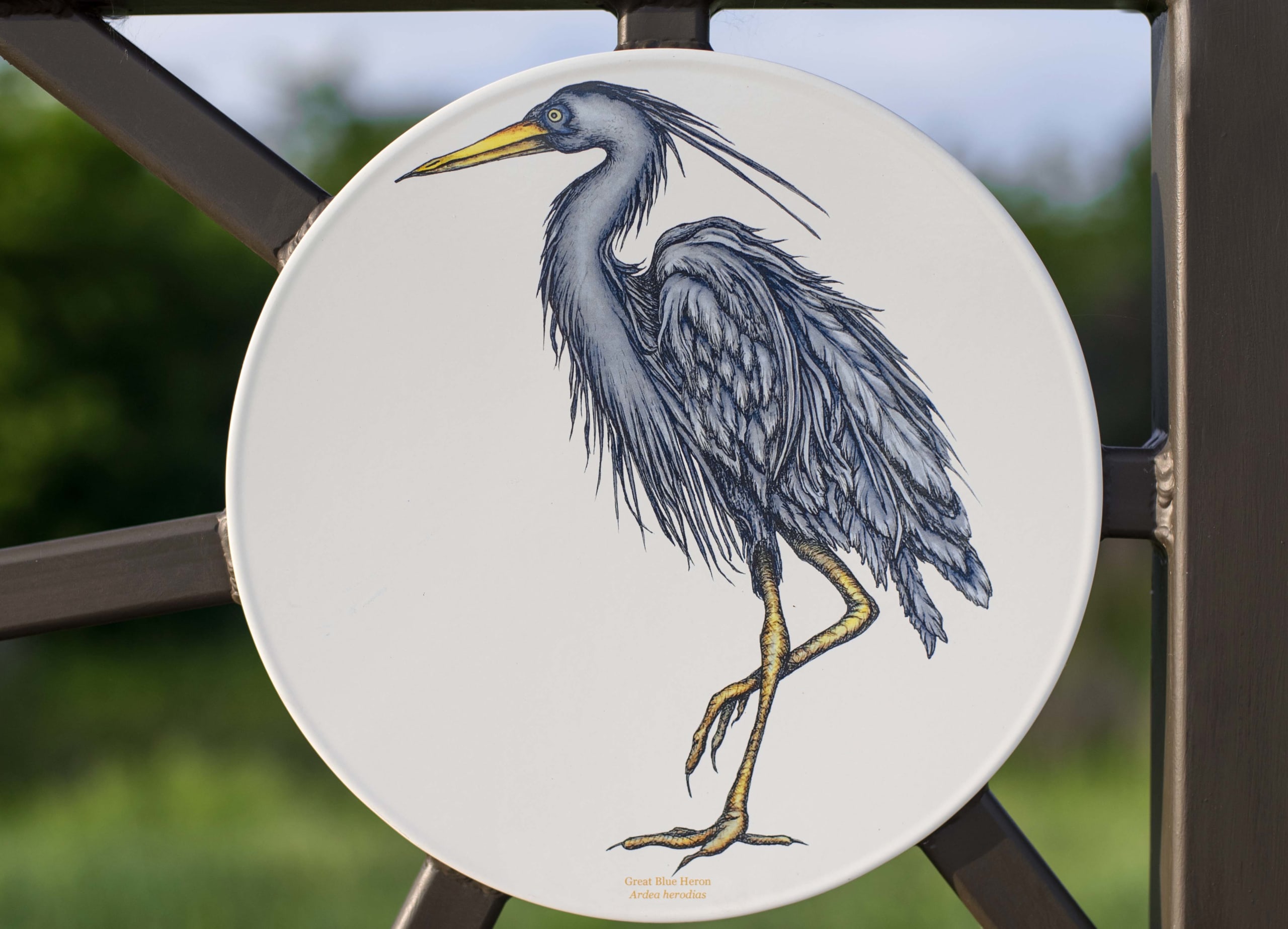 Art + Knowledge: Flora & Fauna and Pond: A Natural Prairie Park, Chisholm Trail Community Park, Fort Worth TX