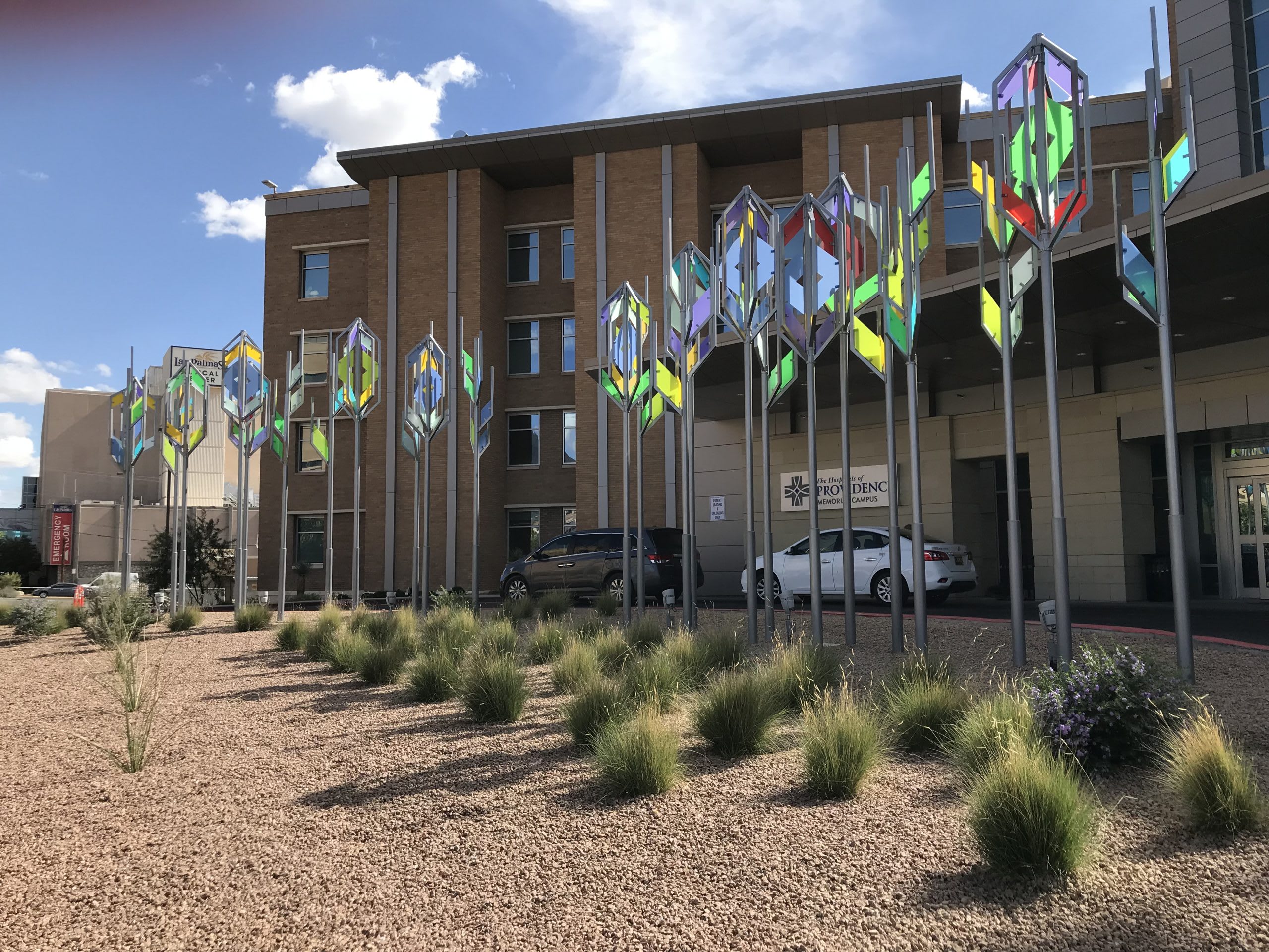 Illuminated Community Grove
