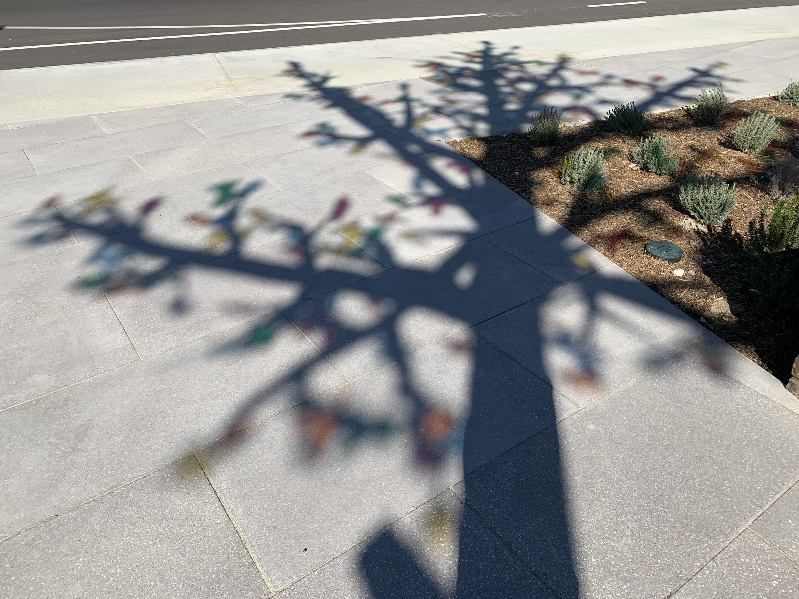 Communitree