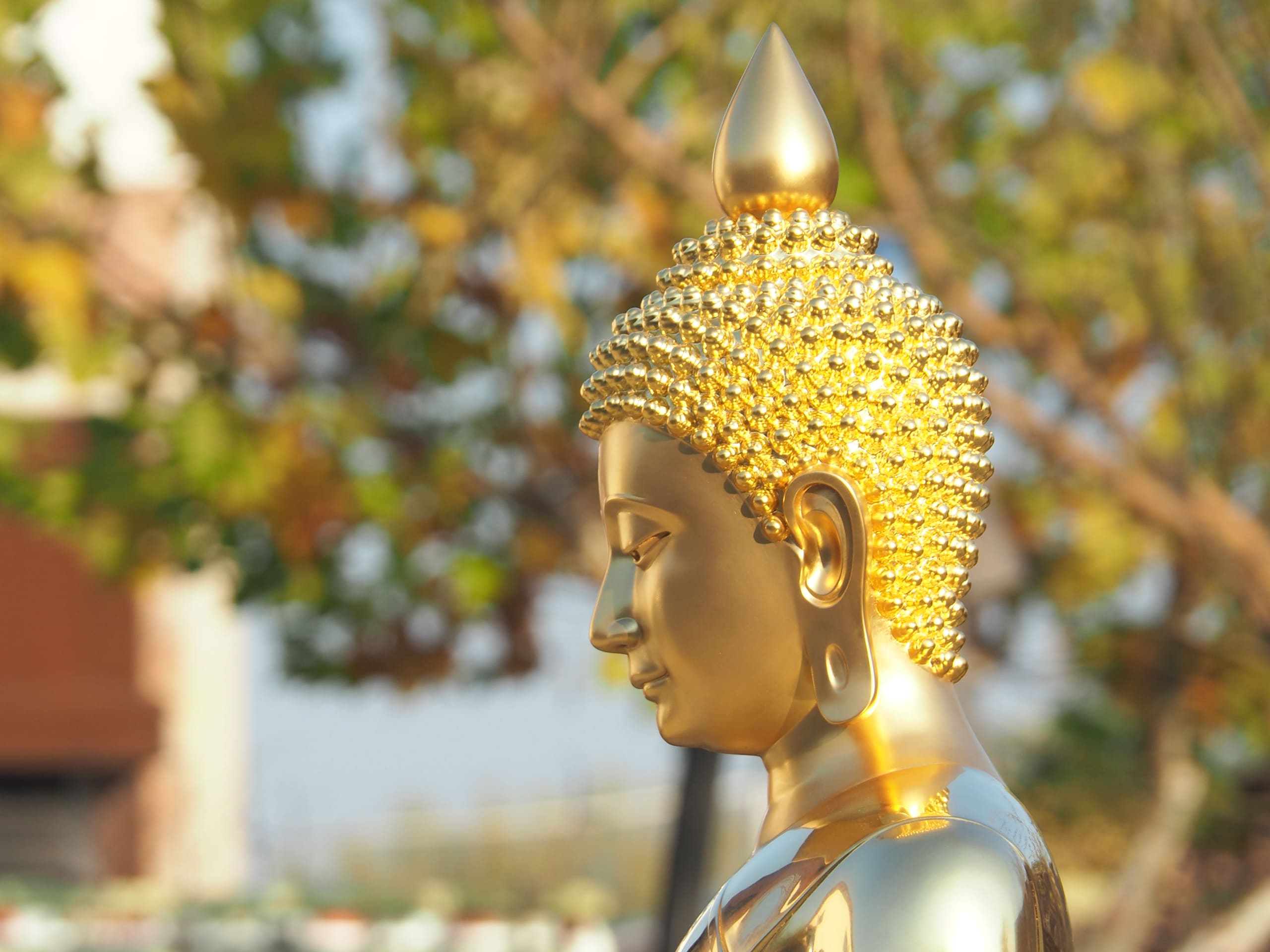 Gold Leaf Bronze Buddha Statue