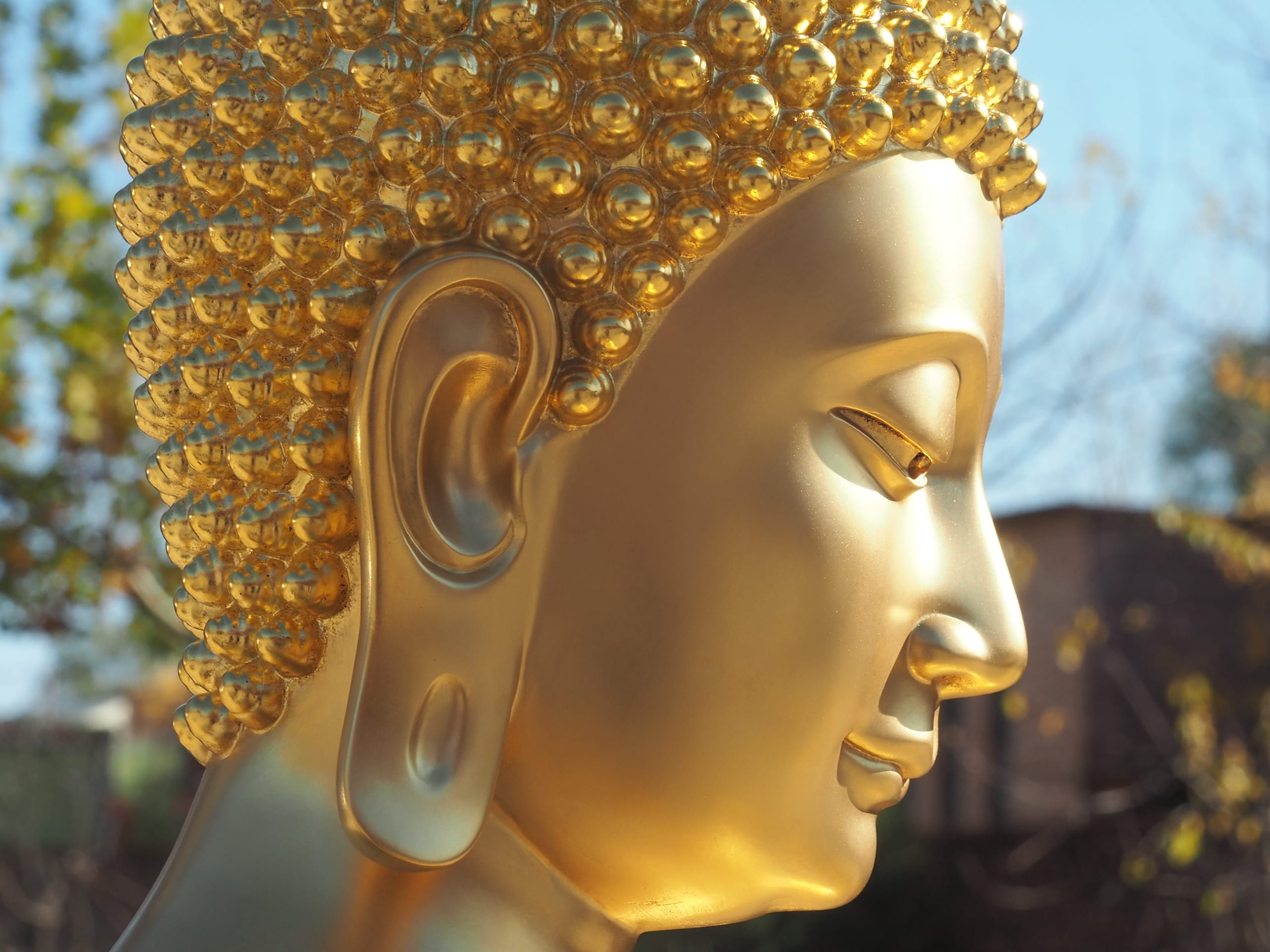 Gold Leaf Bronze Buddha Statue