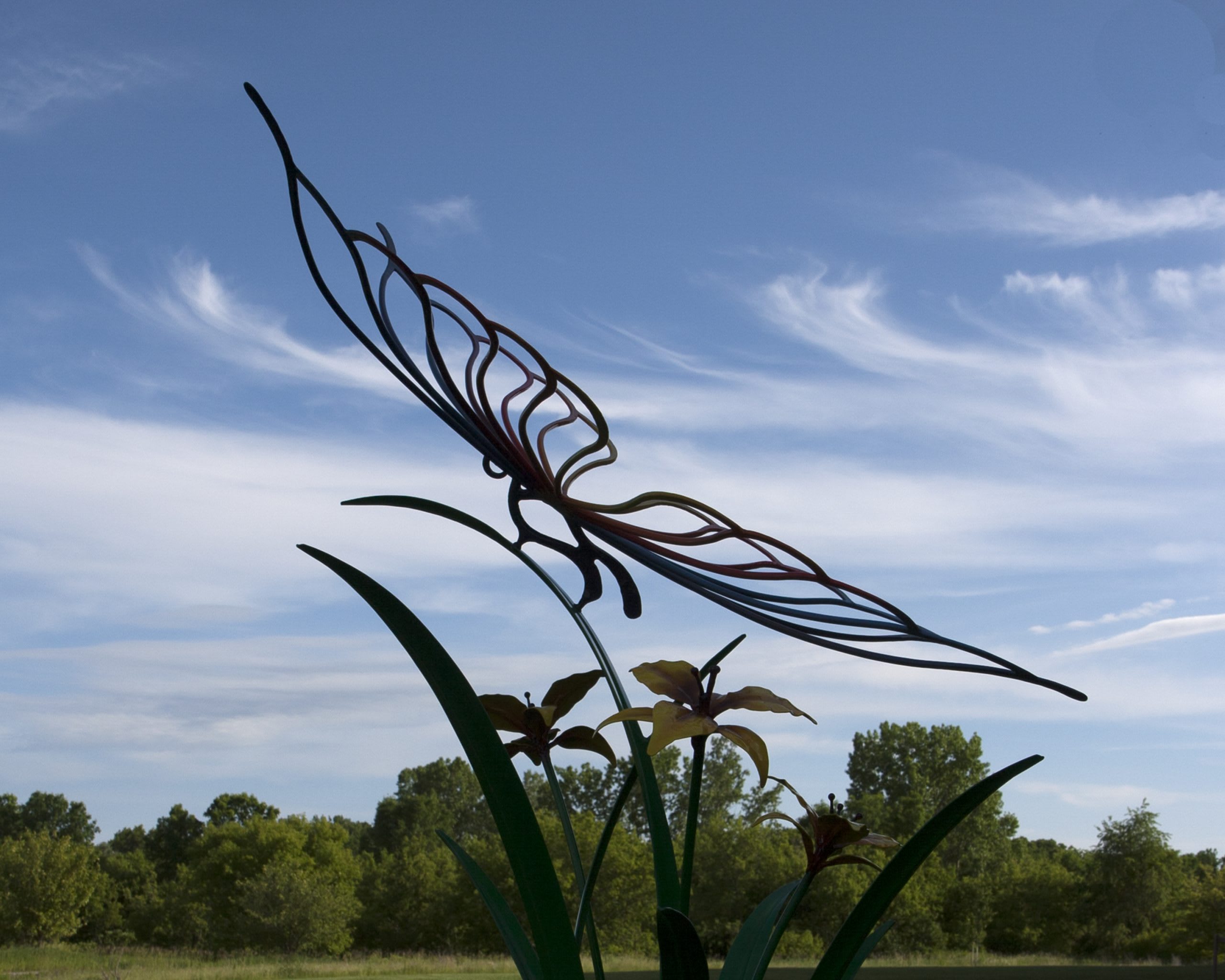 Foth Butterfly
