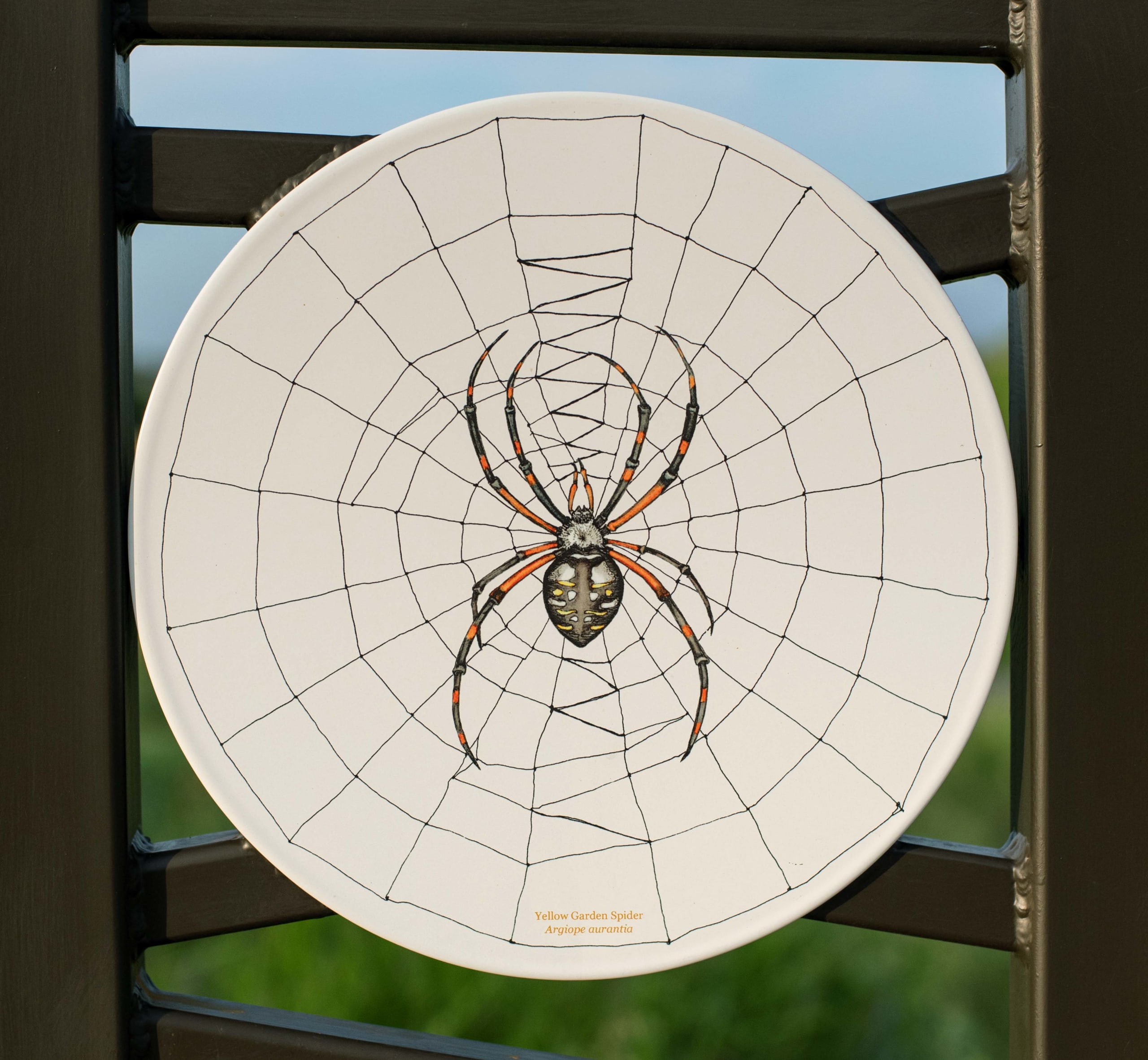 Art + Knowledge: Flora & Fauna and Pond: A Natural Prairie Park, Chisholm Trail Community Park, Fort Worth TX