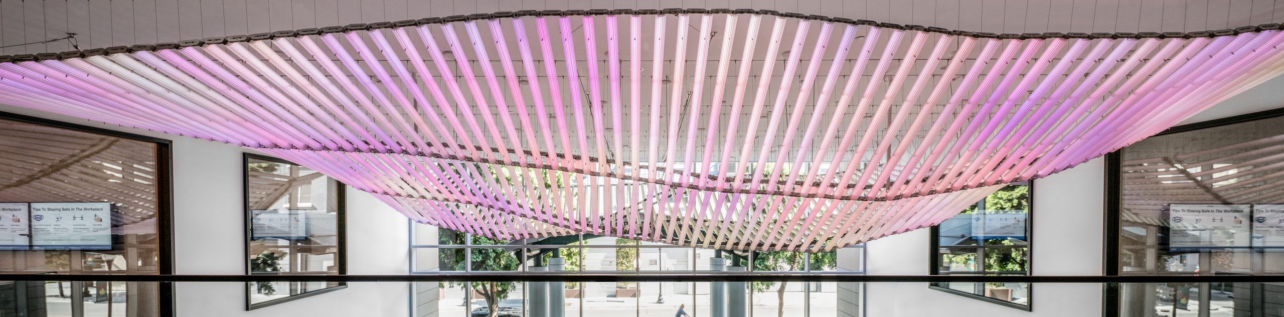 Luminescent Canopy