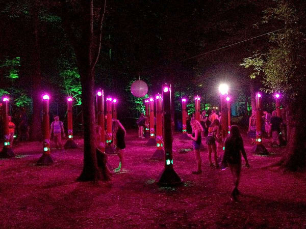 sonic forest