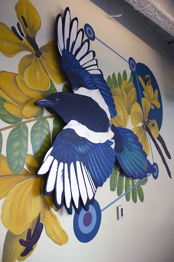 Corvids
