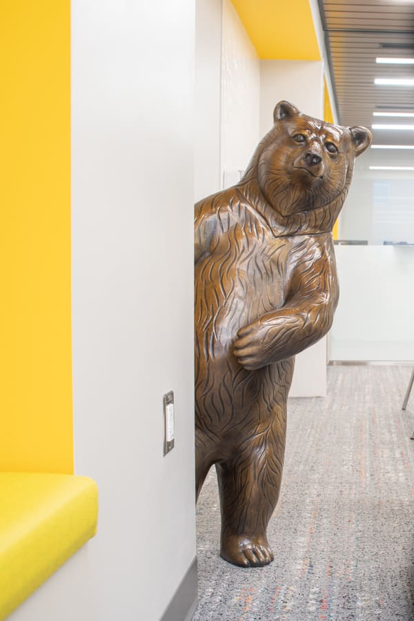Children’s Hospital Brown Bears