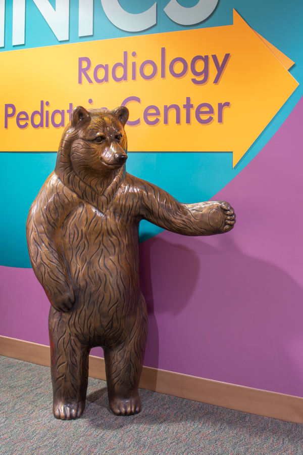 Children’s Hospital Brown Bears