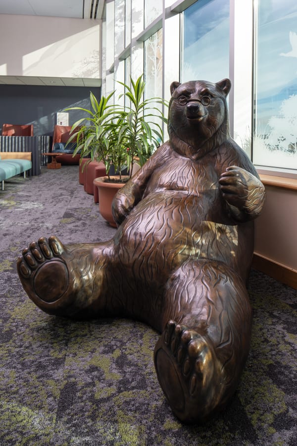 Children’s Hospital Brown Bears
