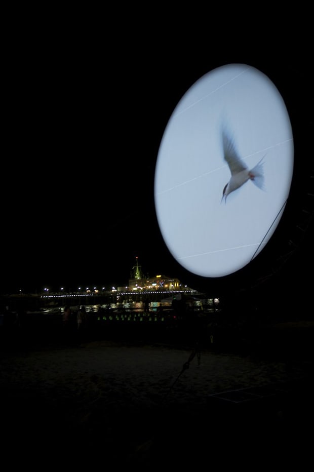 CircumSolar, Migration 1