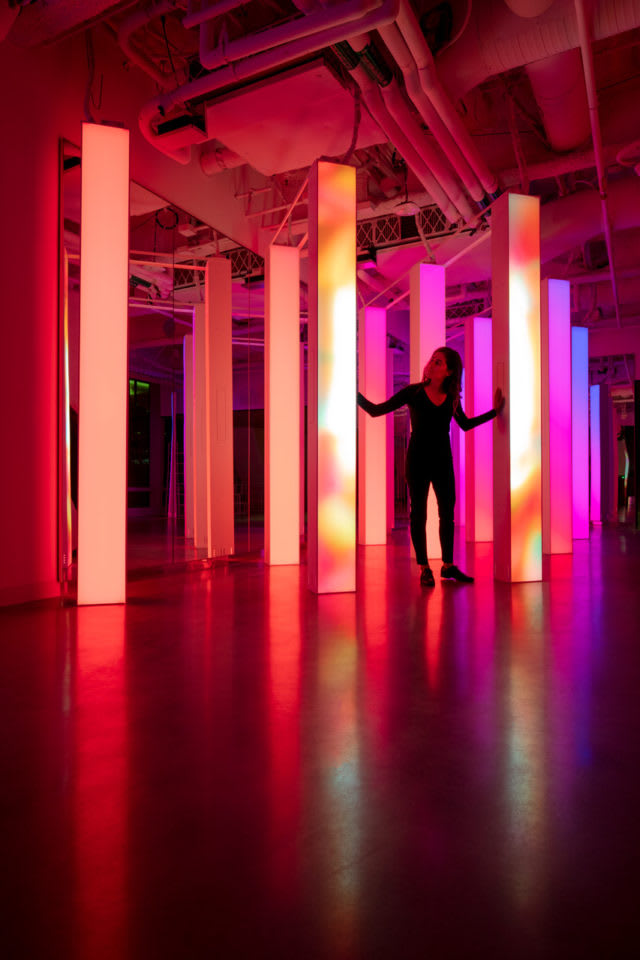 Forest of Light – Instagram