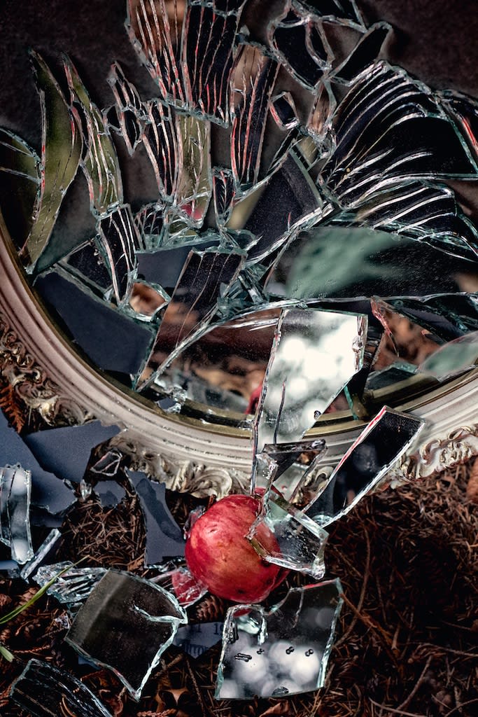 Shattered Fairytales Exhibit by Shanna Koltz