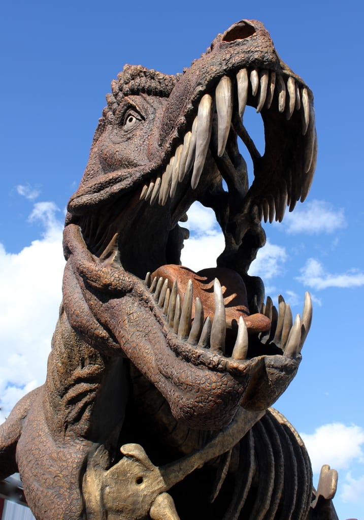 ”ESSENCE OF REX"