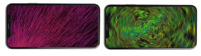 The Syntropy App: The Art of Wellbeing