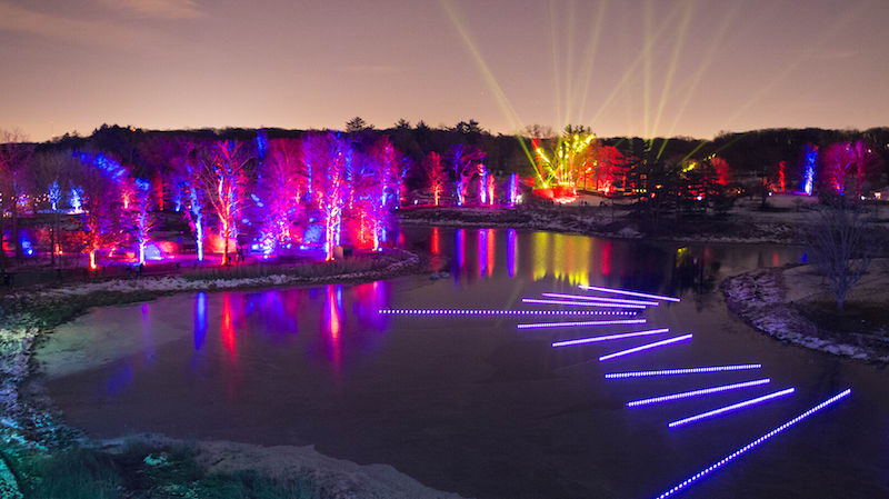 Illumination at The Morton Arboretum