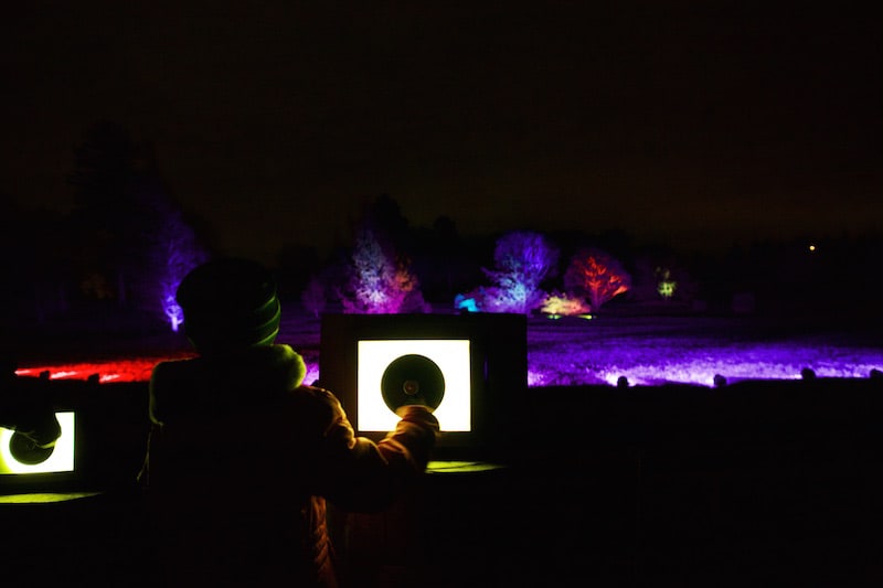 Illumination at The Morton Arboretum