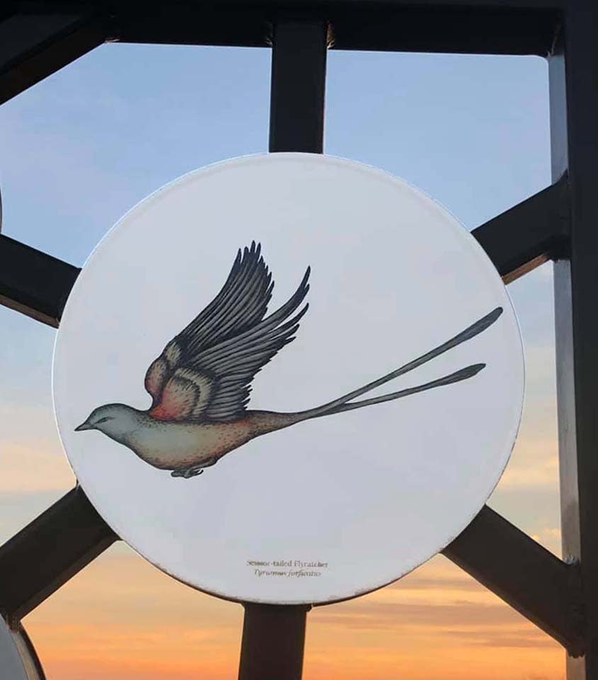 Art + Knowledge: Flora & Fauna and Pond: A Natural Prairie Park, Chisholm Trail Community Park, Fort Worth TX