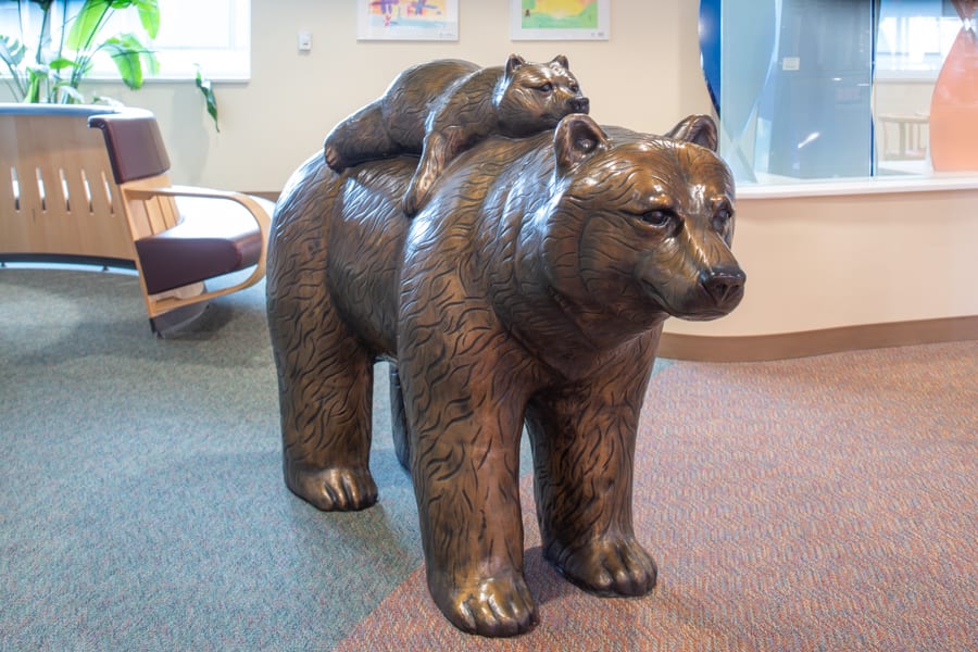 Children’s Hospital Brown Bears