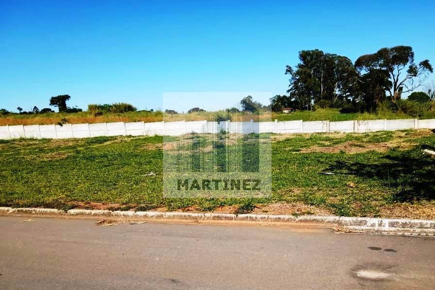 Terreno à venda Tuiuti SP 384m2 - Referência 2649