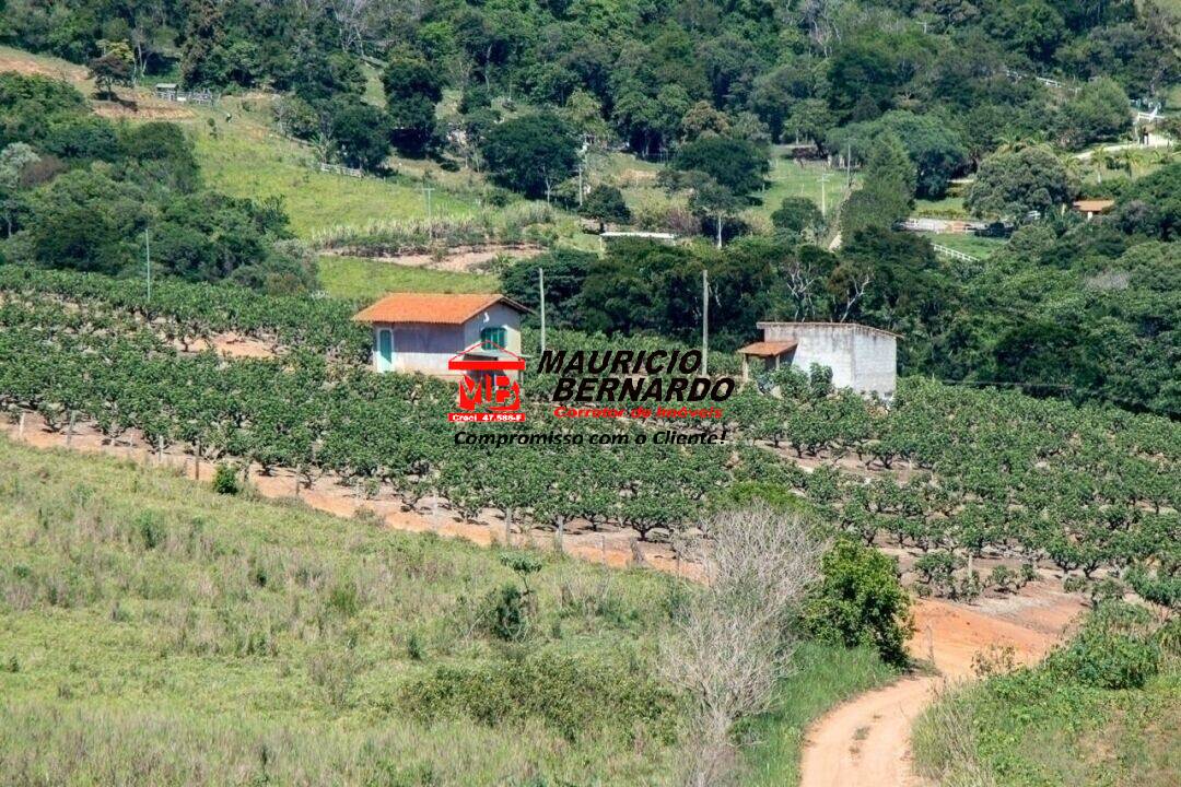 Terreno à venda 52.000m2 - Referência 1912