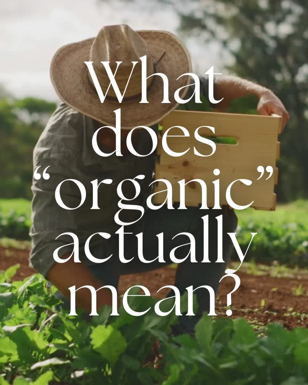 What Does “Organic” Actually Mean? A Simple Guide to Organic Living 