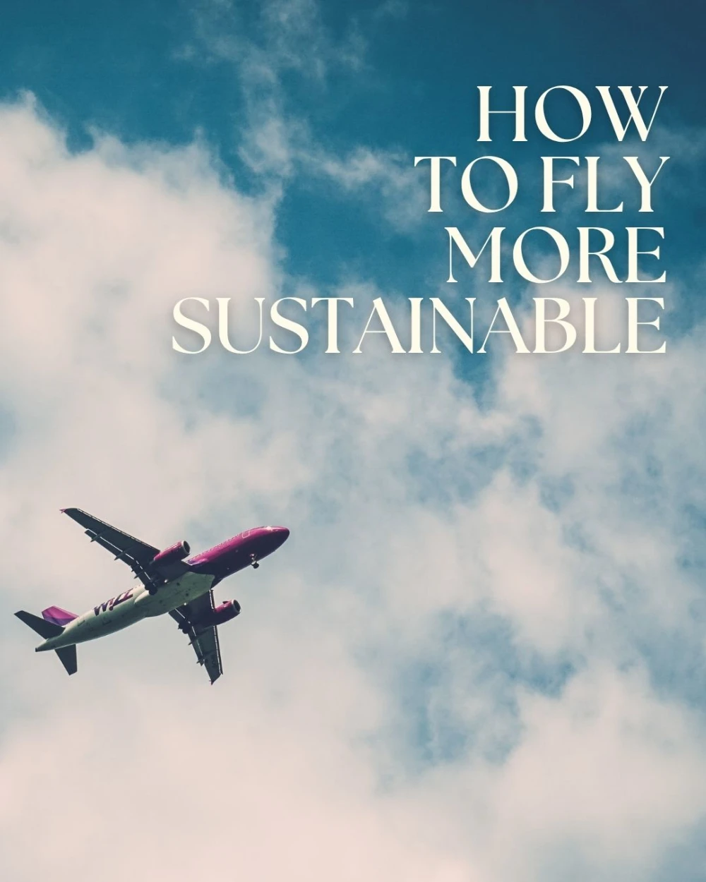 How to fly more sustainable 