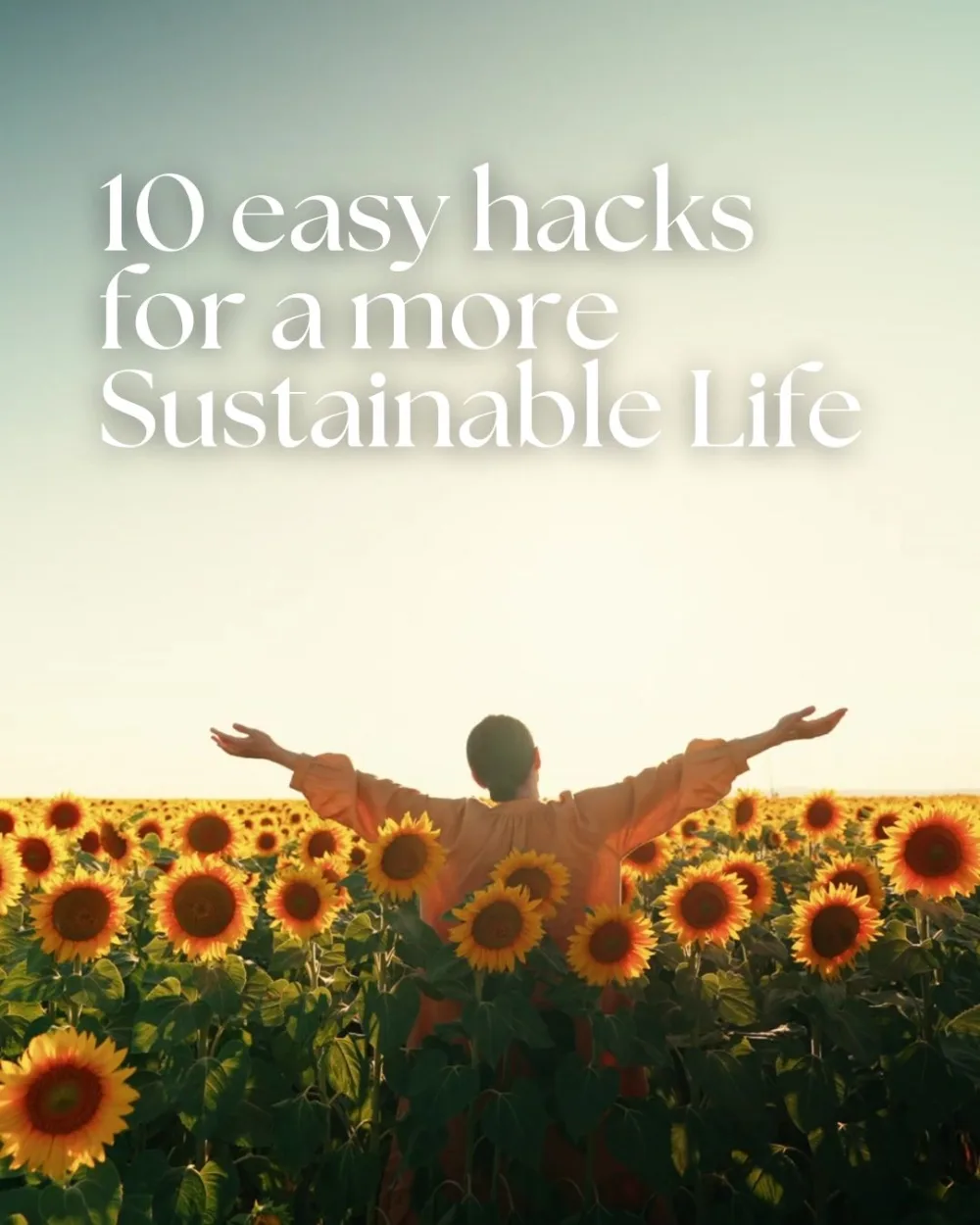 10 super Easy Hacks for a more sustainable Life (Level: Beginner)