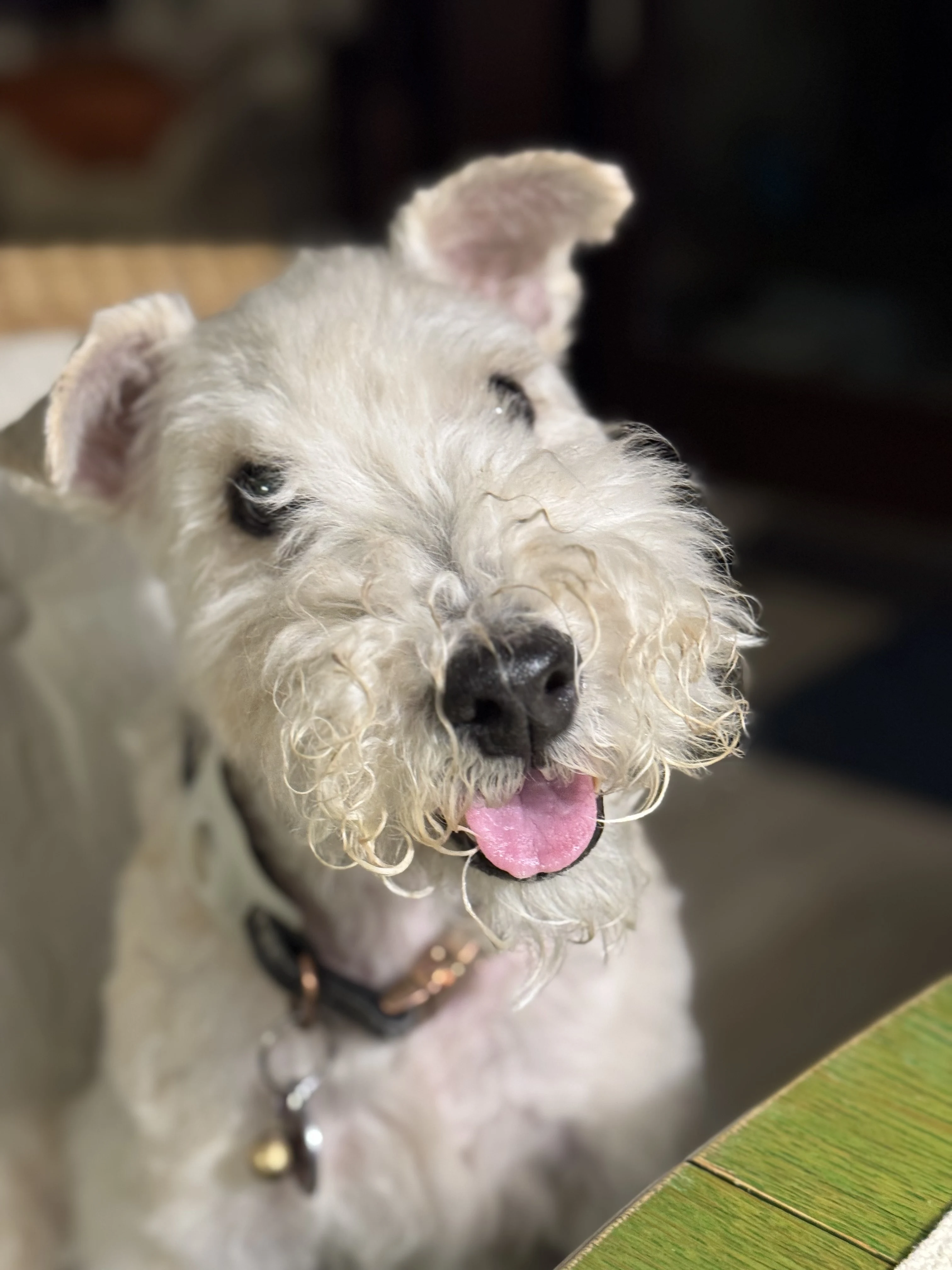 Charlie