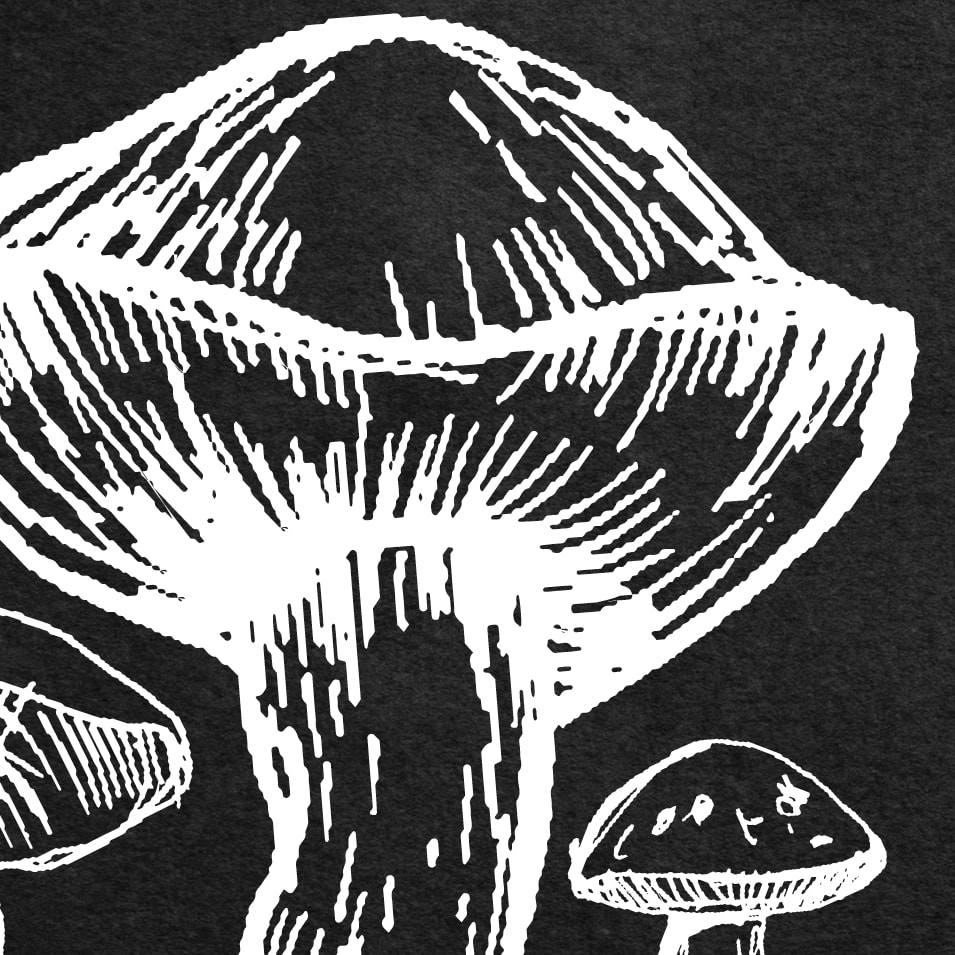 Überall häts Pilzli dra...