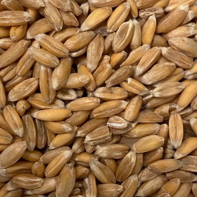 Dinkel