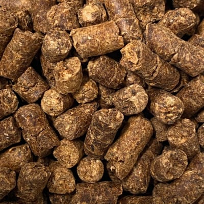 Distillers dried grains (DDGS)