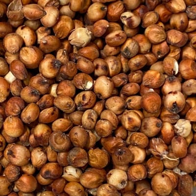 Sorghum