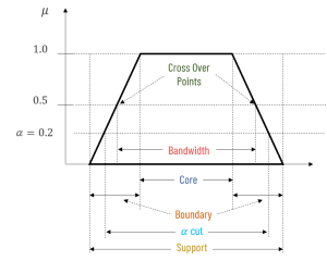 fuzzy terminologies example