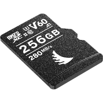 v60 micro sd card 256gb