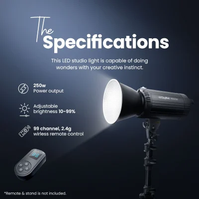 Digitek studio light outlet