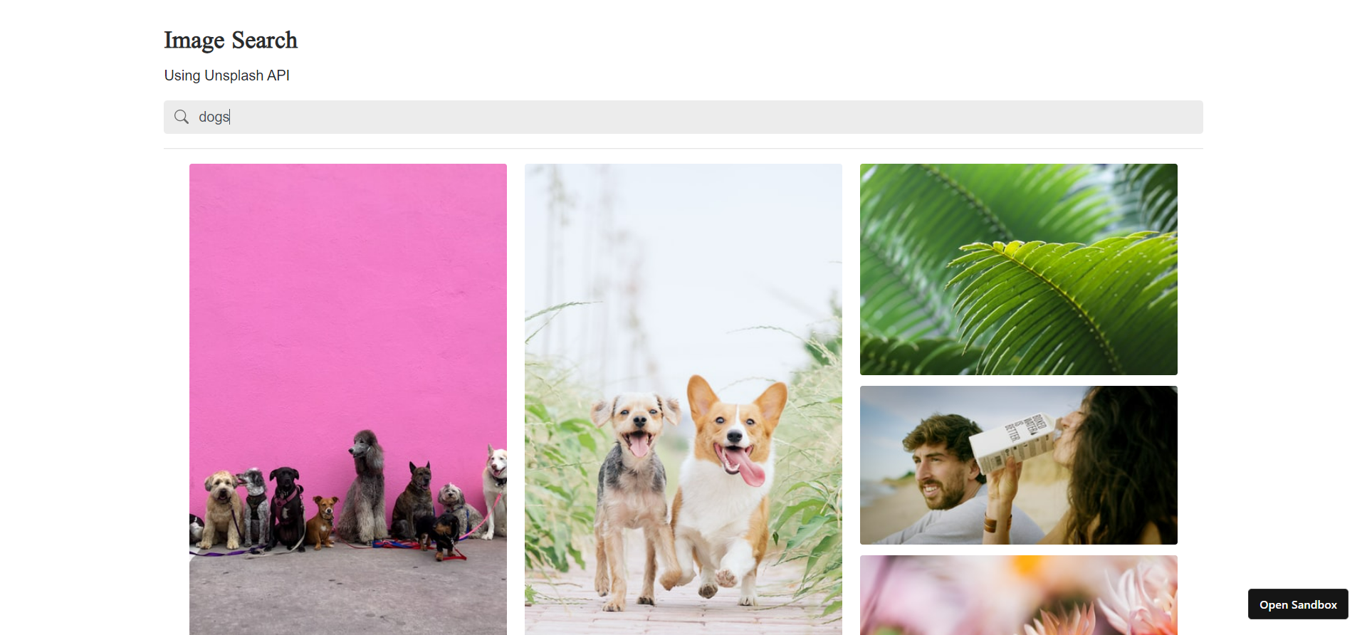 Unsplash Search