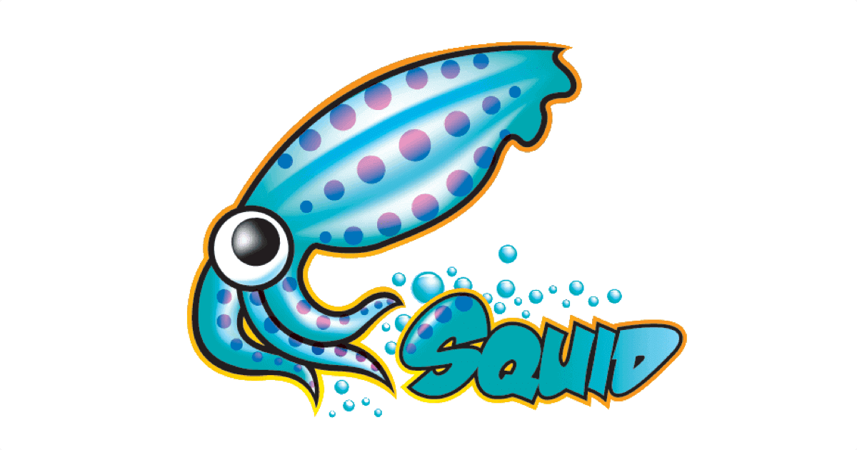 Squid3 で Proxy サーバーを構築する方法 Codenote
