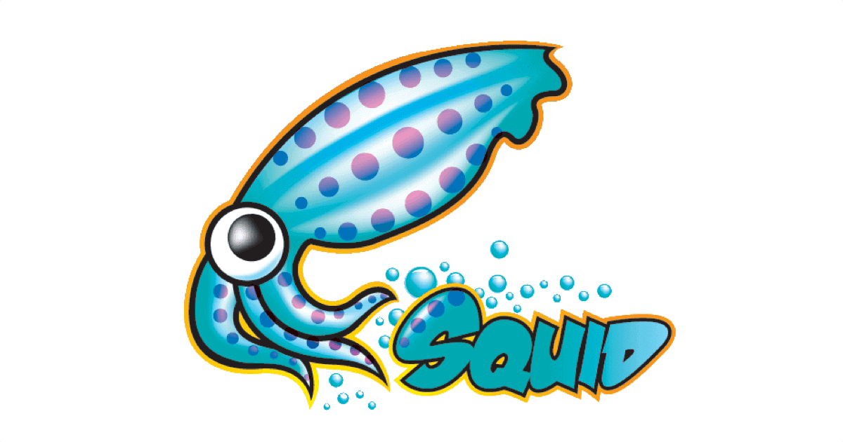 Squid3 で Proxy サーバーを構築する方法 Codenote Squid3 で Proxy サーバーを構築する方法 Codenote