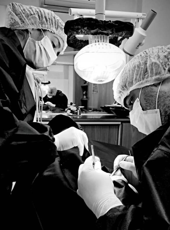 Imagem principal da seção "Sobre nós"