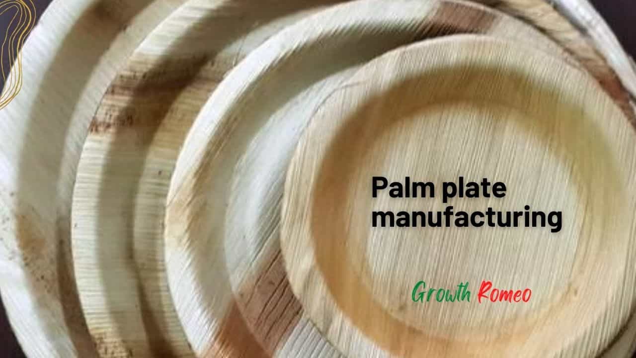 Palm plate manufacturing business in India